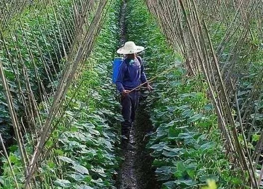 九龍坡區(qū)助劑好效果就好真的假的？