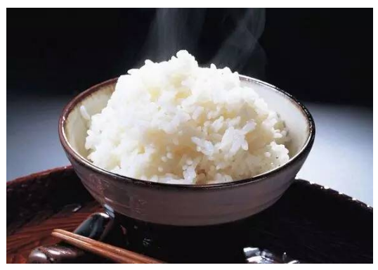 哈密地區(qū)酶——生物化學反應的催化劑